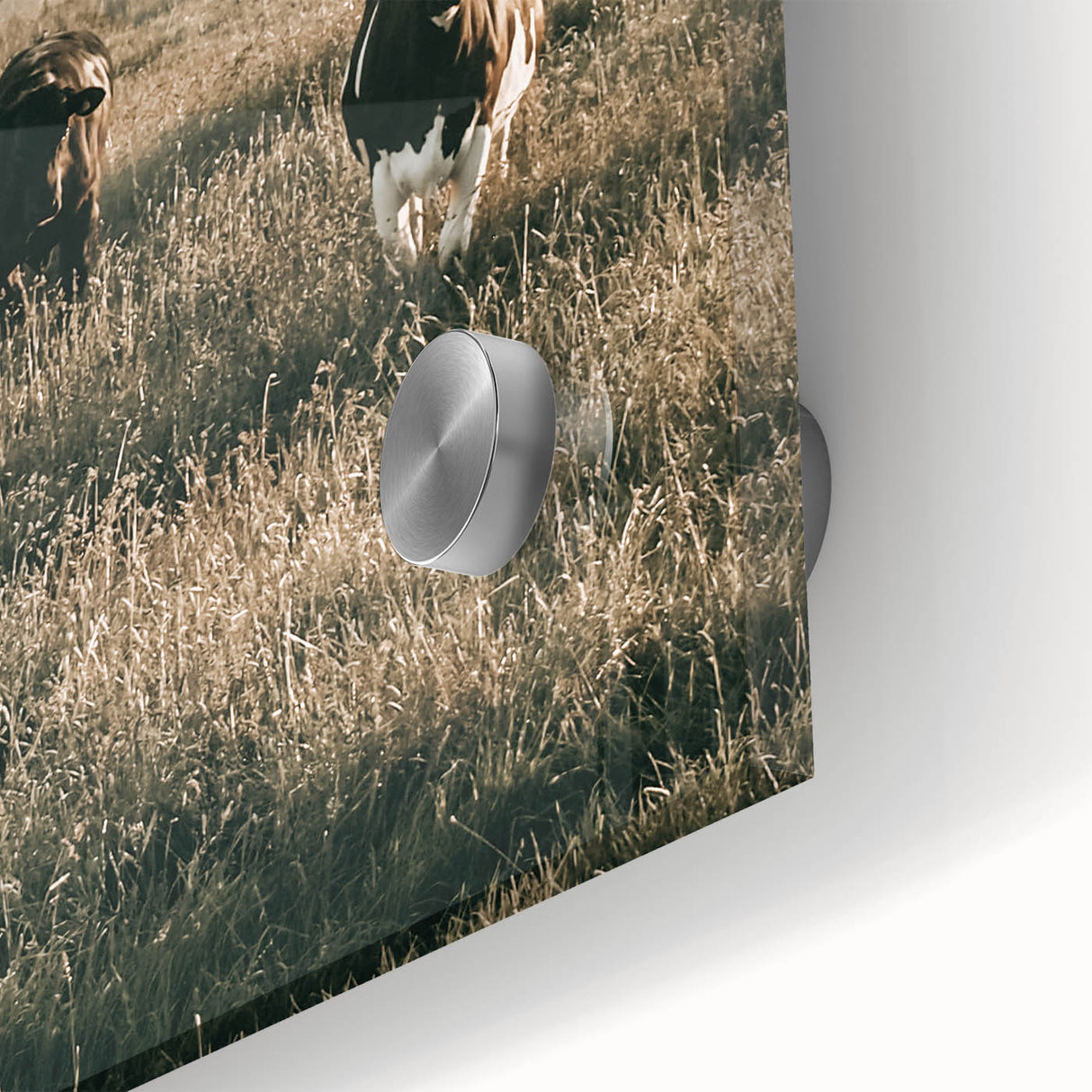 Farmhouse Wall Art - Rustic Country Style Art with Vintage Farmhouse Charm