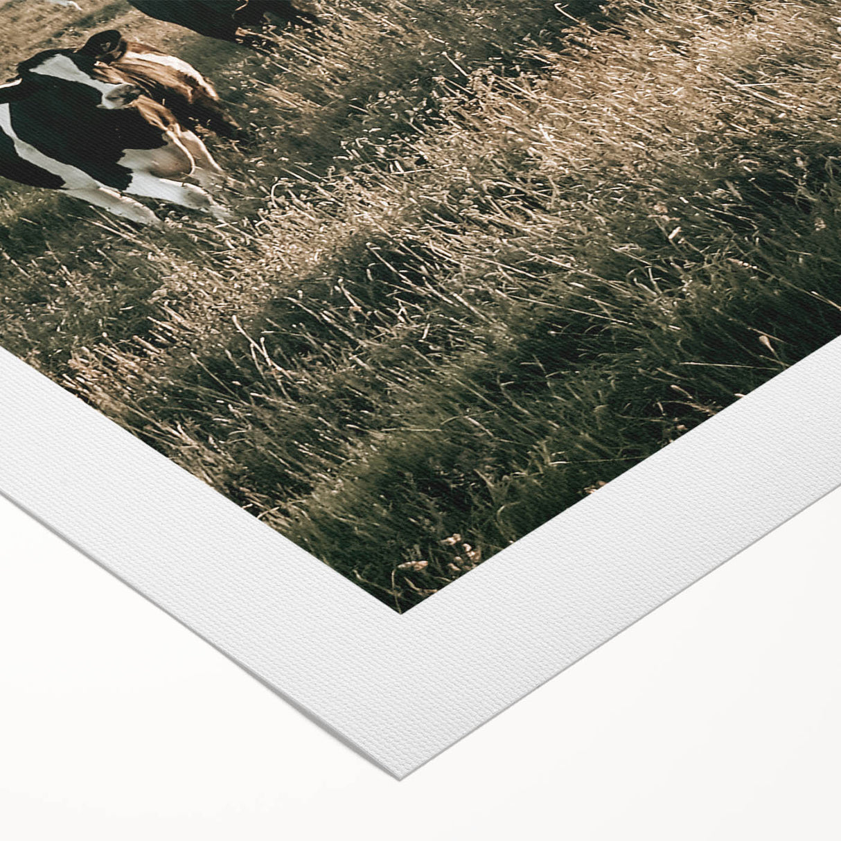 Farmhouse Wall Art - Rustic Country Style Art with Vintage Farmhouse Charm