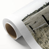 Farmhouse Wall Art - Rustic Country Fence with Vintage Farmhouse Charm