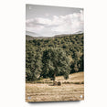 Farmhouse Wall Art - Scenic Country Landscape with Rustic Hay Bales