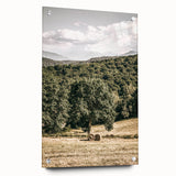 Farmhouse Wall Art - Scenic Country Landscape with Rustic Hay Bales