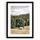 Farmhouse Wall Art - Scenic Country Landscape with Rustic Hay Bales