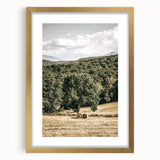 Farmhouse Wall Art - Scenic Country Landscape with Rustic Hay Bales
