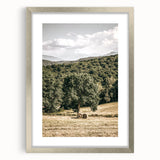 Farmhouse Wall Art - Scenic Country Landscape with Rustic Hay Bales