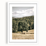 Farmhouse Wall Art - Scenic Country Landscape with Rustic Hay Bales