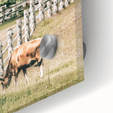 Farmhouse Wall Art - Rustic Grazing Cow with Vintage Country Style Charm