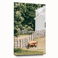 Farmhouse Wall Art - Rustic Grazing Cow with Vintage Country Style Charm