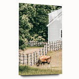 Farmhouse Wall Art - Rustic Grazing Cow with Vintage Country Style Charm