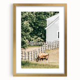 Farmhouse Wall Art - Rustic Grazing Cow with Vintage Country Style Charm