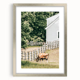 Farmhouse Wall Art - Rustic Grazing Cow with Vintage Country Style Charm