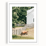 Farmhouse Wall Art - Rustic Grazing Cow with Vintage Country Style Charm