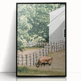 Farmhouse Wall Art - Rustic Grazing Cow with Vintage Country Style Charm