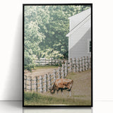 Farmhouse Wall Art - Rustic Grazing Cow with Vintage Country Style Charm