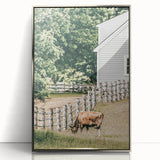 Farmhouse Wall Art - Rustic Grazing Cow with Vintage Country Style Charm