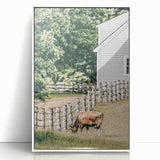 Farmhouse Wall Art - Rustic Grazing Cow with Vintage Country Style Charm
