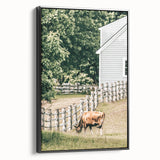 Farmhouse Wall Art - Rustic Grazing Cow with Vintage Country Style Charm