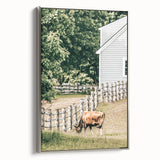 Farmhouse Wall Art - Rustic Grazing Cow with Vintage Country Style Charm