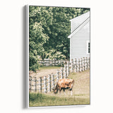 Farmhouse Wall Art - Rustic Grazing Cow with Vintage Country Style Charm