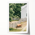 Farmhouse Wall Art - Rustic Grazing Cow with Vintage Country Style Charm