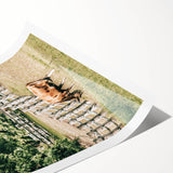 Farmhouse Wall Art - Rustic Grazing Cow with Vintage Country Style Charm