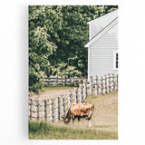 Farmhouse Wall Art - Rustic Grazing Cow with Vintage Country Style Charm