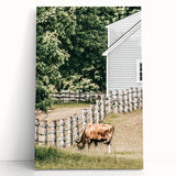 Farmhouse Wall Art - Rustic Grazing Cow with Vintage Country Style Charm