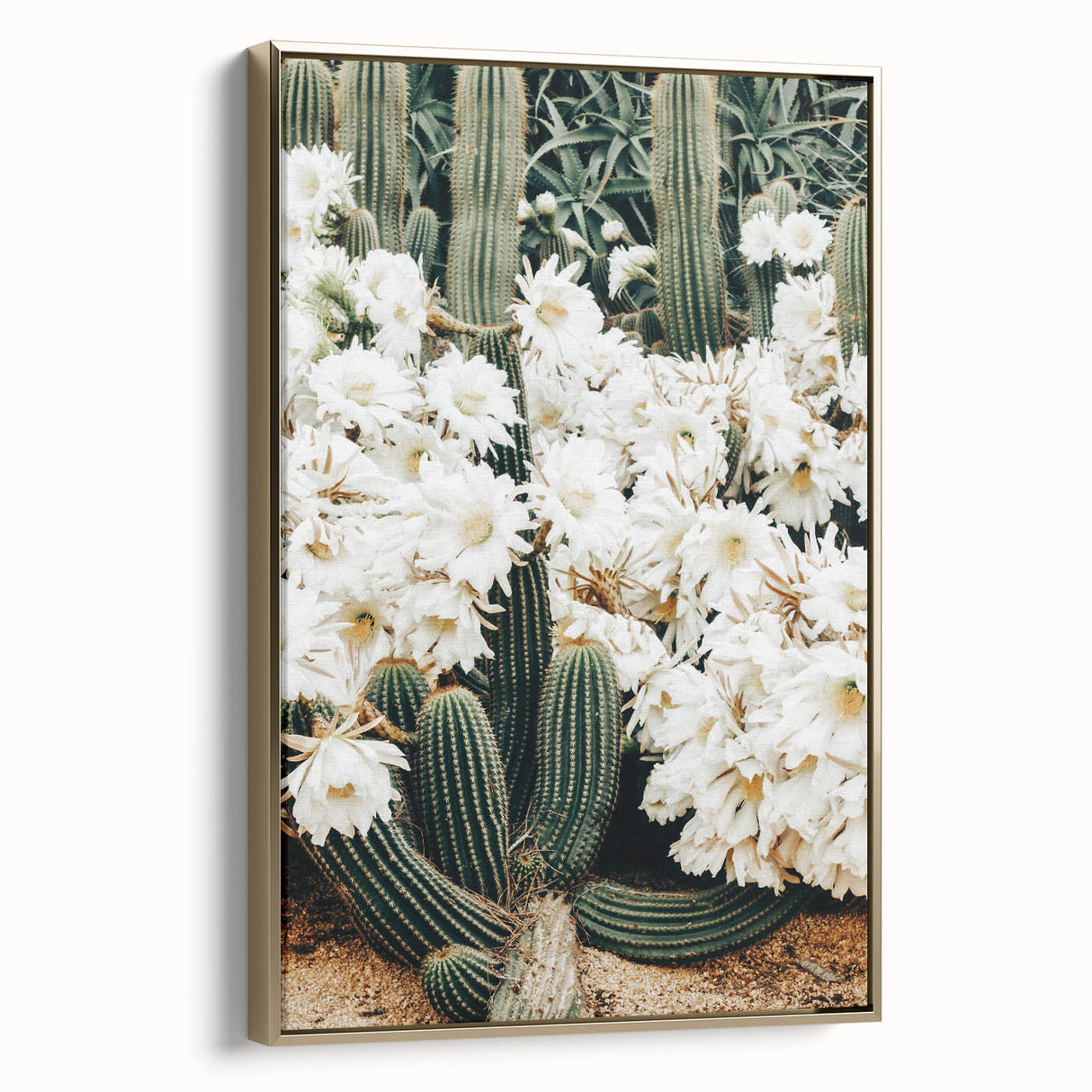 Farmhouse Wall Art – Rustic Cactus Flower Print for Country Style Decor
