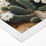 Farmhouse Wall Art – Rustic Cactus Flower Print for Country Style Decor