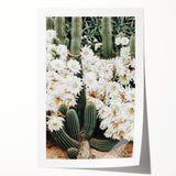 Farmhouse Wall Art – Rustic Cactus Flower Print for Country Style Decor
