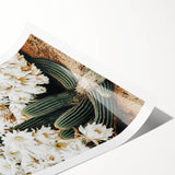 Farmhouse Wall Art – Rustic Cactus Flower Print for Country Style Decor