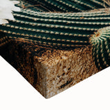 Farmhouse Wall Art – Rustic Cactus Flower Print for Country Style Decor