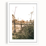 Farmhouse Wall Art - Rustic Fence and Foliage with Warm Country Charm