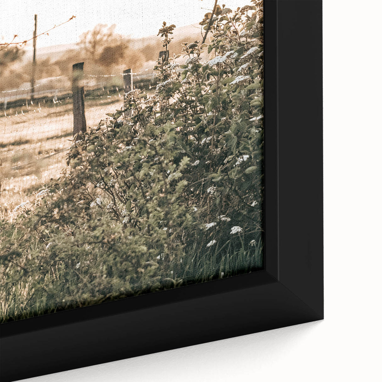 Farmhouse Wall Art - Rustic Fence and Foliage with Warm Country Charm