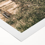 Farmhouse Wall Art - Rustic Fence and Foliage with Warm Country Charm