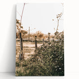 Farmhouse Wall Art - Rustic Fence and Foliage with Warm Country Charm