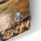 Farmhouse Wall Art - Pastoral Sheep in Field with Rustic Country Charm