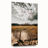 Farmhouse Wall Art - Pastoral Sheep in Field with Rustic Country Charm
