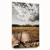 Farmhouse Wall Art - Pastoral Sheep in Field with Rustic Country Charm