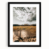 Farmhouse Wall Art - Pastoral Sheep in Field with Rustic Country Charm