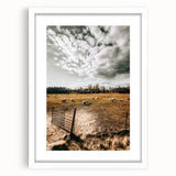 Farmhouse Wall Art - Pastoral Sheep in Field with Rustic Country Charm