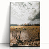 Farmhouse Wall Art - Pastoral Sheep in Field with Rustic Country Charm