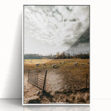 Farmhouse Wall Art - Pastoral Sheep in Field with Rustic Country Charm