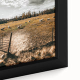 Farmhouse Wall Art - Pastoral Sheep in Field with Rustic Country Charm