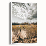 Farmhouse Wall Art - Pastoral Sheep in Field with Rustic Country Charm