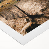 Farmhouse Wall Art - Pastoral Sheep in Field with Rustic Country Charm