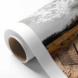 Farmhouse Wall Art - Pastoral Sheep in Field with Rustic Country Charm