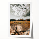 Farmhouse Wall Art - Pastoral Sheep in Field with Rustic Country Charm