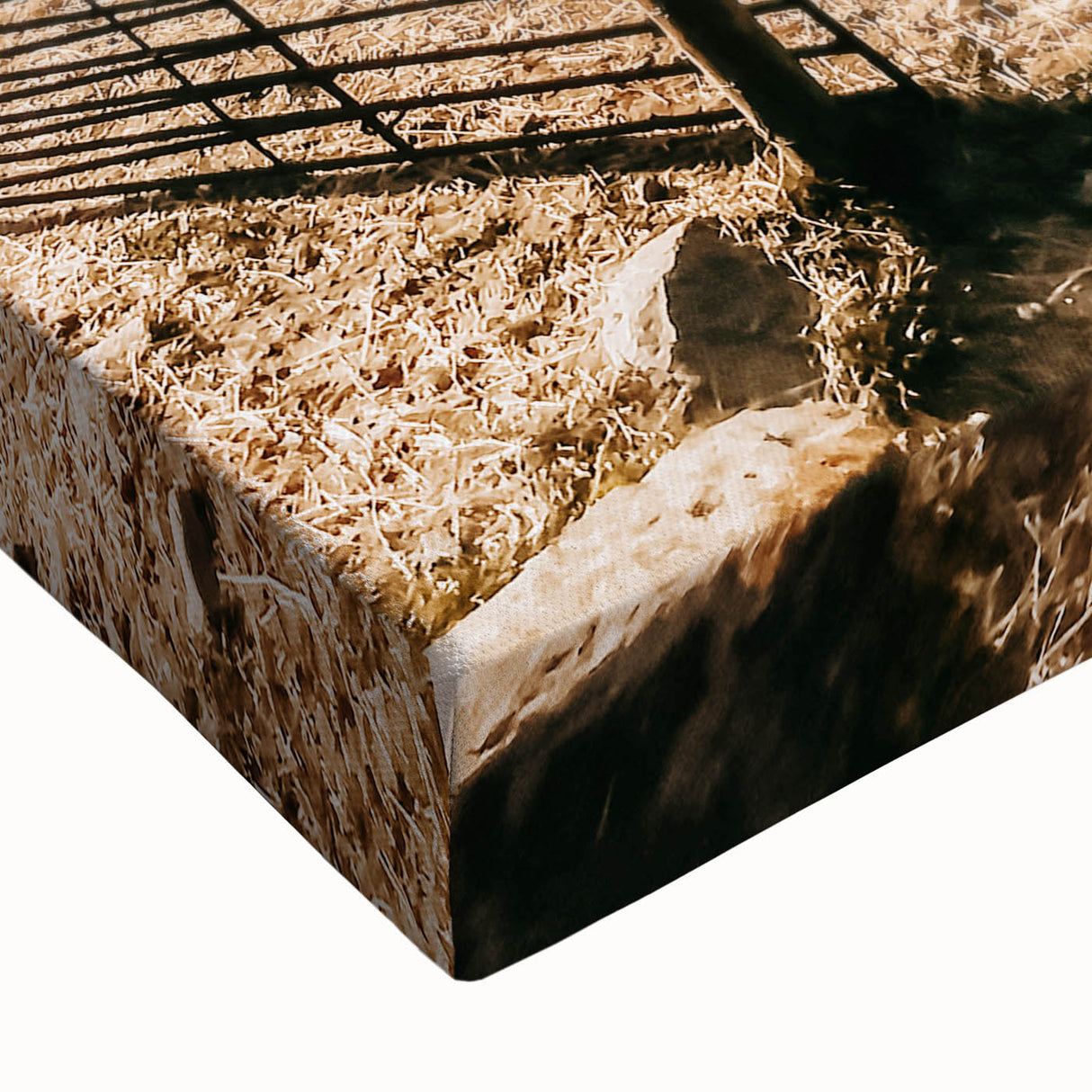 Farmhouse Wall Art - Pastoral Sheep in Field with Rustic Country Charm