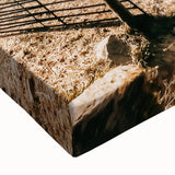 Farmhouse Wall Art - Pastoral Sheep in Field with Rustic Country Charm