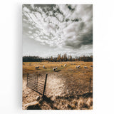 Farmhouse Wall Art - Pastoral Sheep in Field with Rustic Country Charm